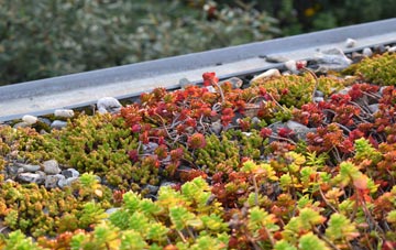 the cost of Coggeshall Hamlet green roof installation
